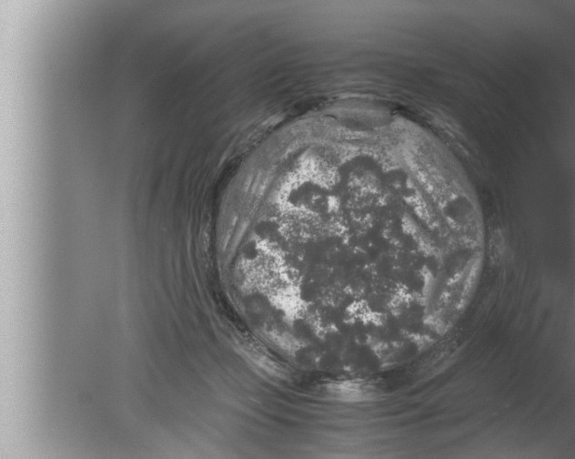 X0000080160365200612302159