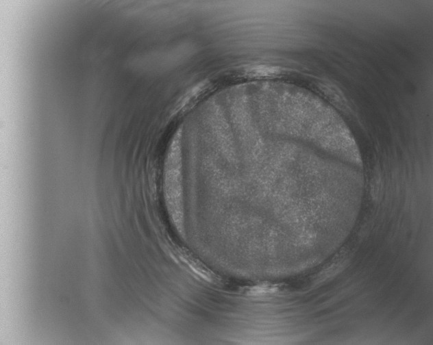 X0000080160366200612302159