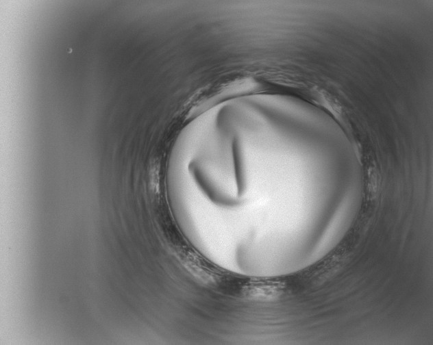 X0000080160368200612302159