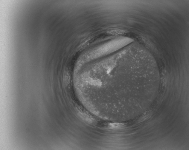 X0000080160371200612302159