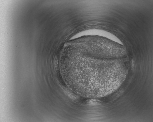 X0000080160372200612302159