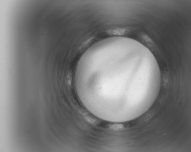 X0000080160374200612302200