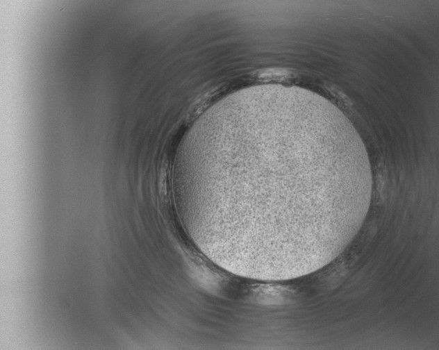 X0000080160379200612302200