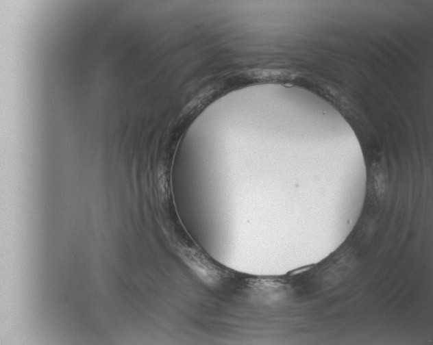 X0000080160380200612302200