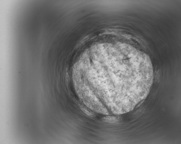 X0000080160381200612302200