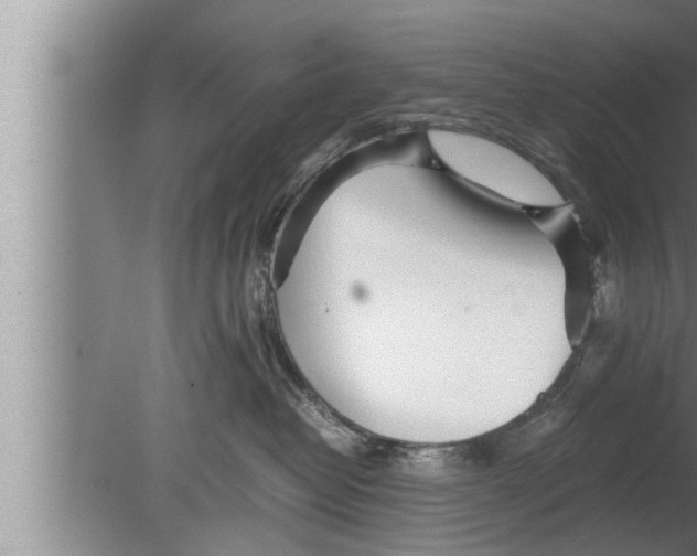 X0000080160382200612302200