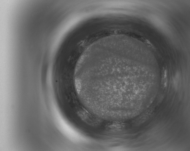 X0000080160383200612302200