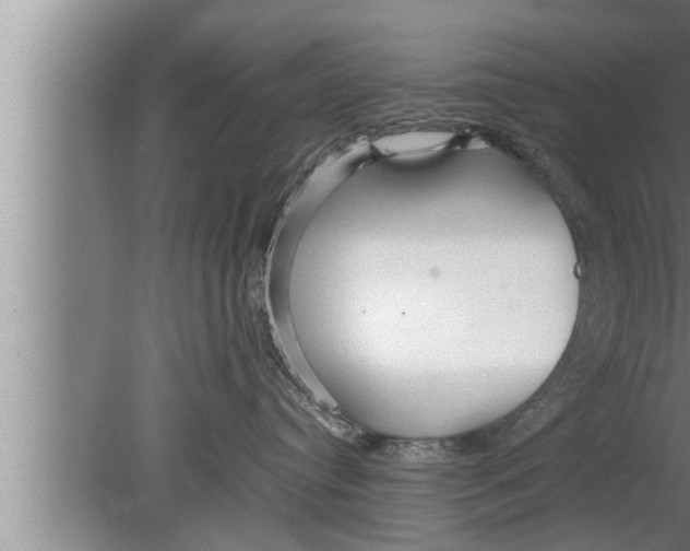 X0000080160384200612302200