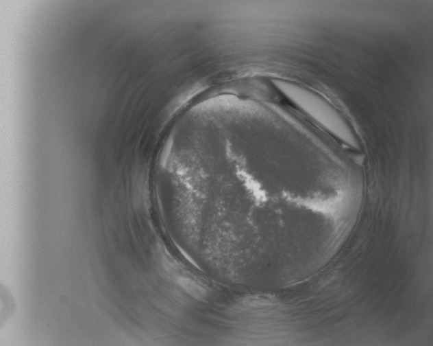 X0000080160386200612302159