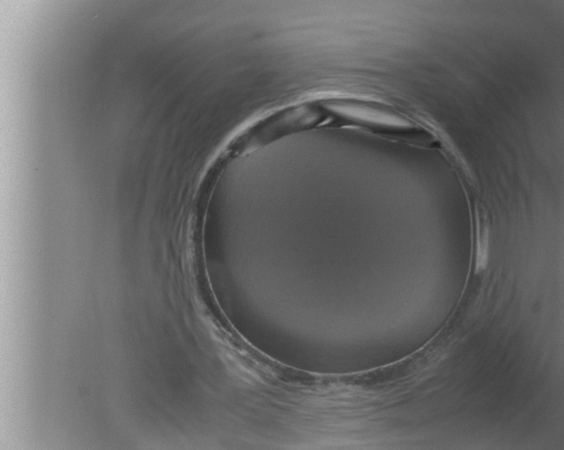 X0000080160387200612302159