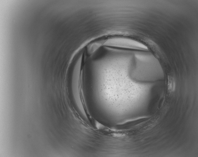 X0000080160388200612302159