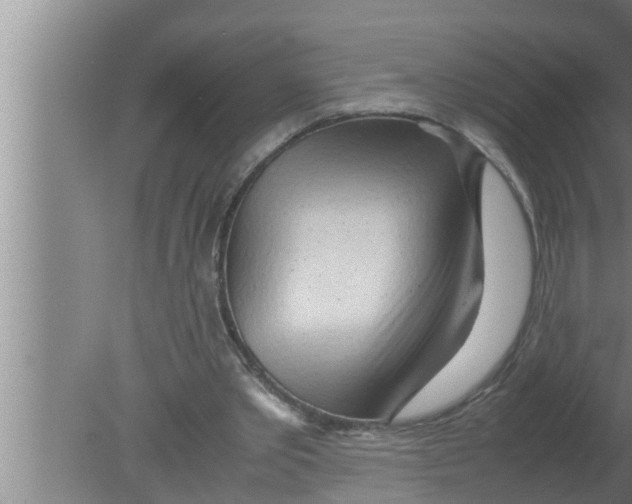 X0000080160389200612302159