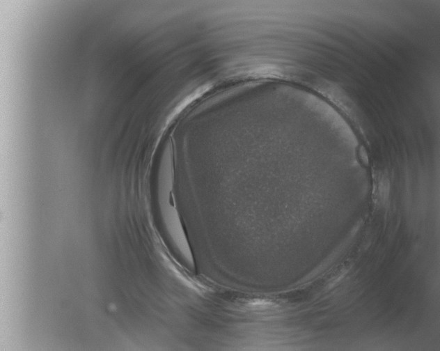 X0000080160390200612302159