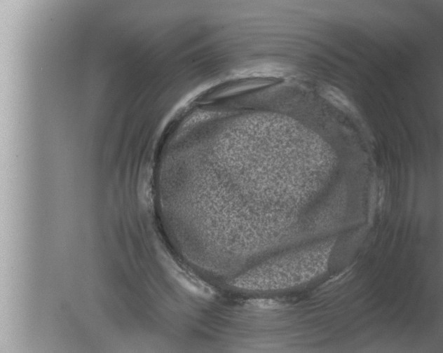 X0000080160392200612302159