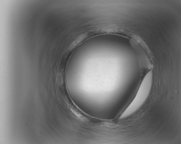 X0000080160393200612302159