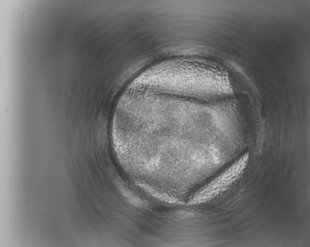 X0000080160394200612302159