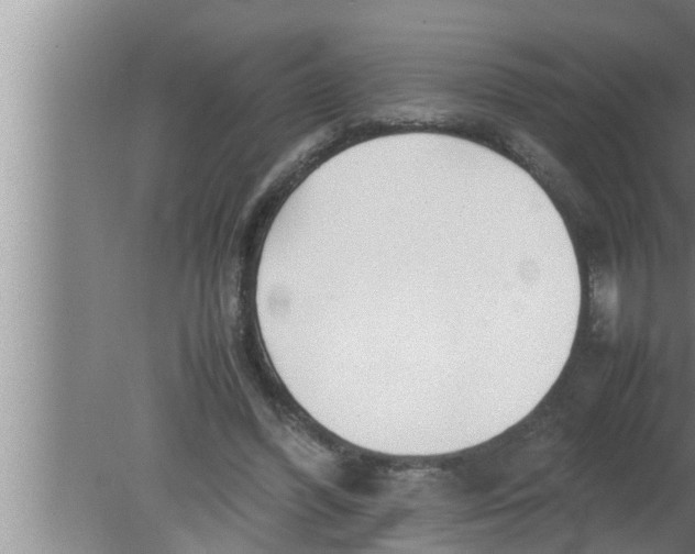 X0000080160396200612302159