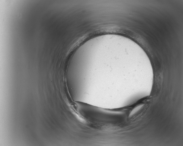 X0000080160397200612302159