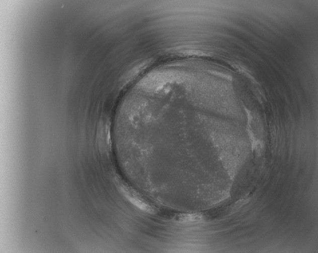 X0000080160398200612302159