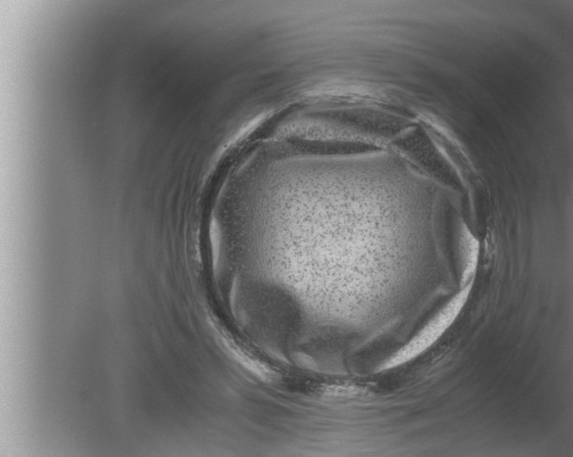 X0000080160399200612302159