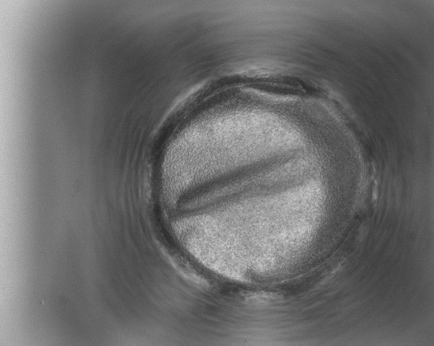 X0000080160400200612302159