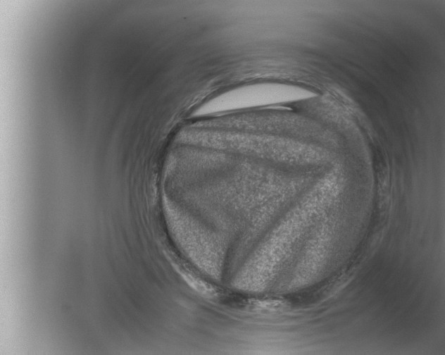 X0000080160401200612302159