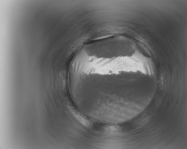 X0000080160402200612302159