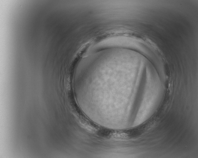 X0000080160403200612302159