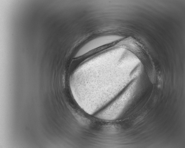 X0000080160404200612302159