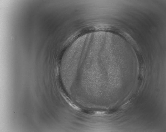 X0000080160405200612302159