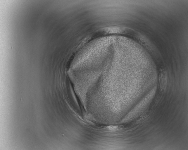 X0000080160406200612302159