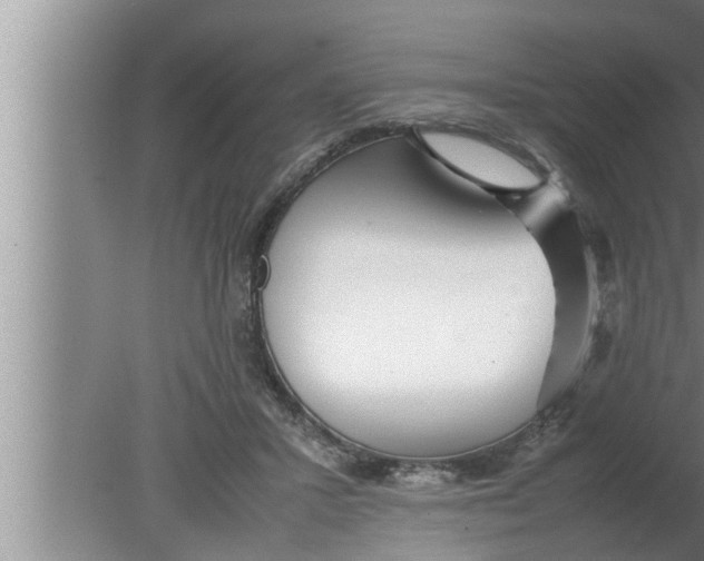 X0000080160407200612302159