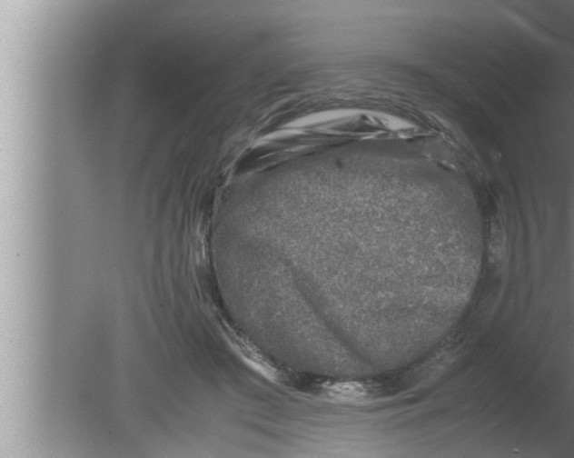 X0000080160409200612302158