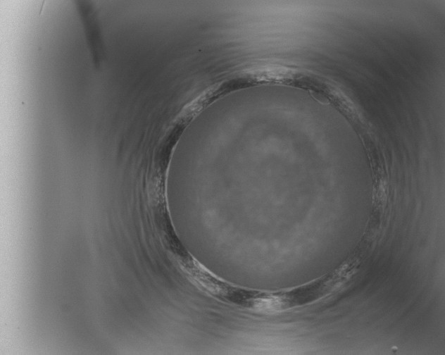 X0000080160411200612302158