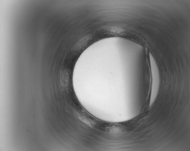 X0000080160412200612302158