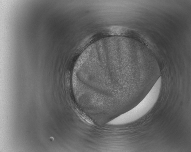 X0000080160413200612302158