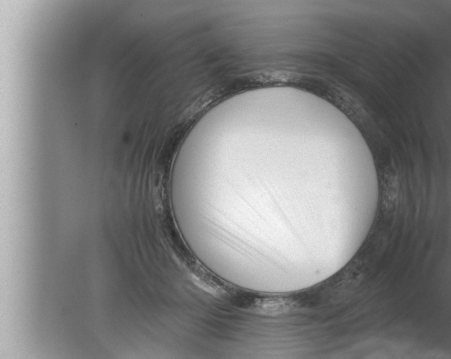 X0000080160414200612302158