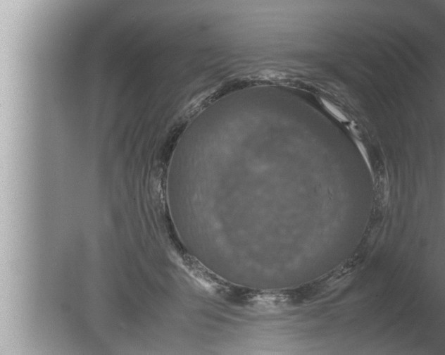 X0000080160415200612302158