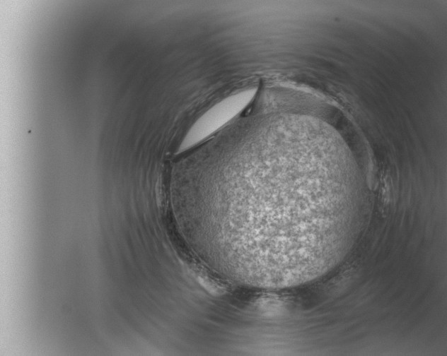 X0000080160416200612302158