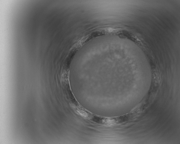 X0000080160419200612302158