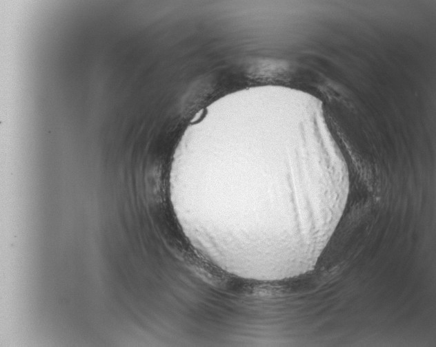 X0000080160420200612302158