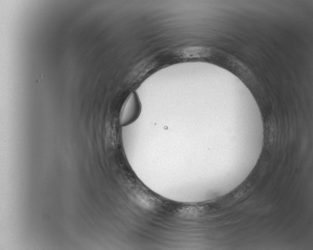 X0000080160422200612302158