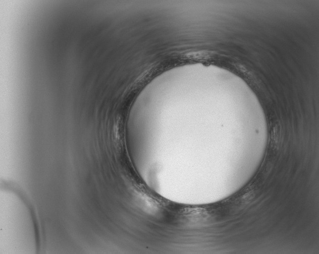 X0000080160424200612302158