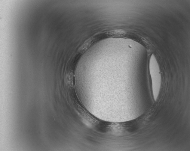 X0000080160425200612302158