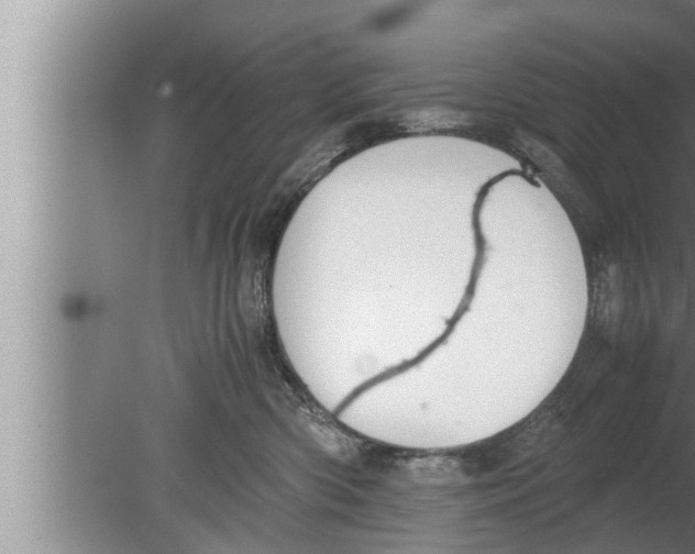 X0000080160426200612302158