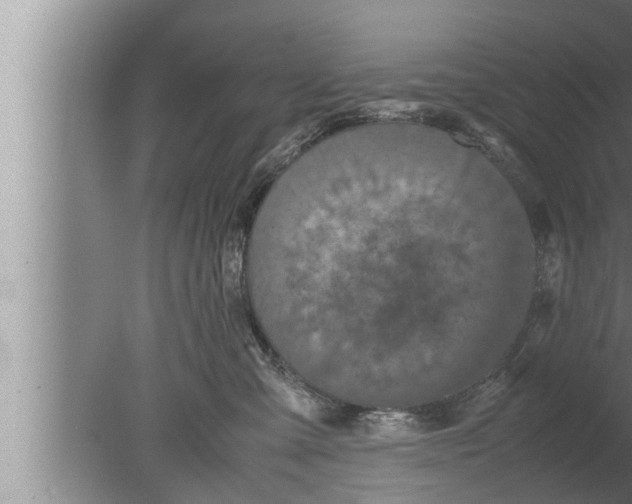 X0000080160427200612302158