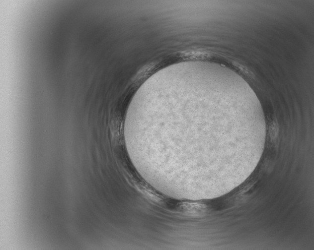 X0000080160429200612302158