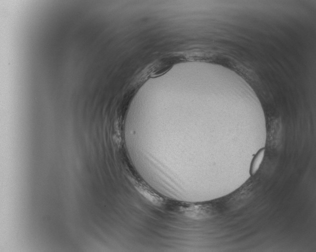 X0000080160430200612302158