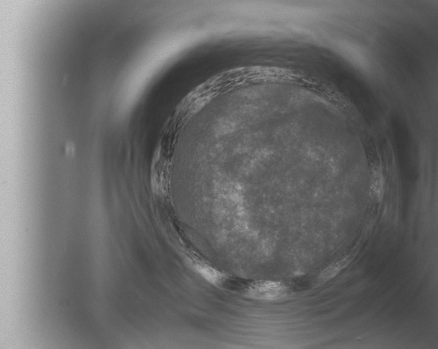 X0000080160431200612302158