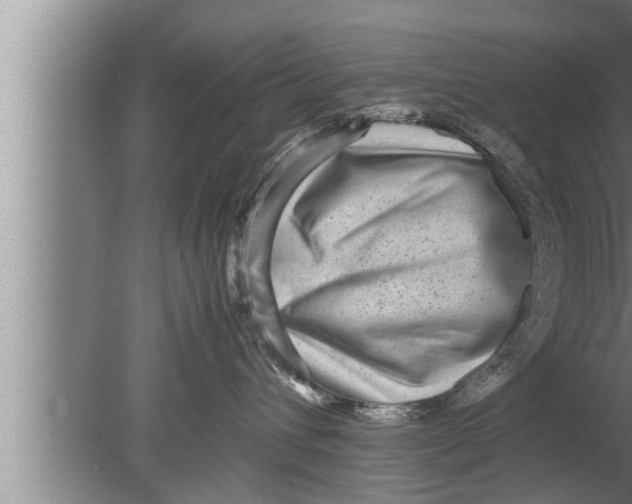 X0000080160432200612302158